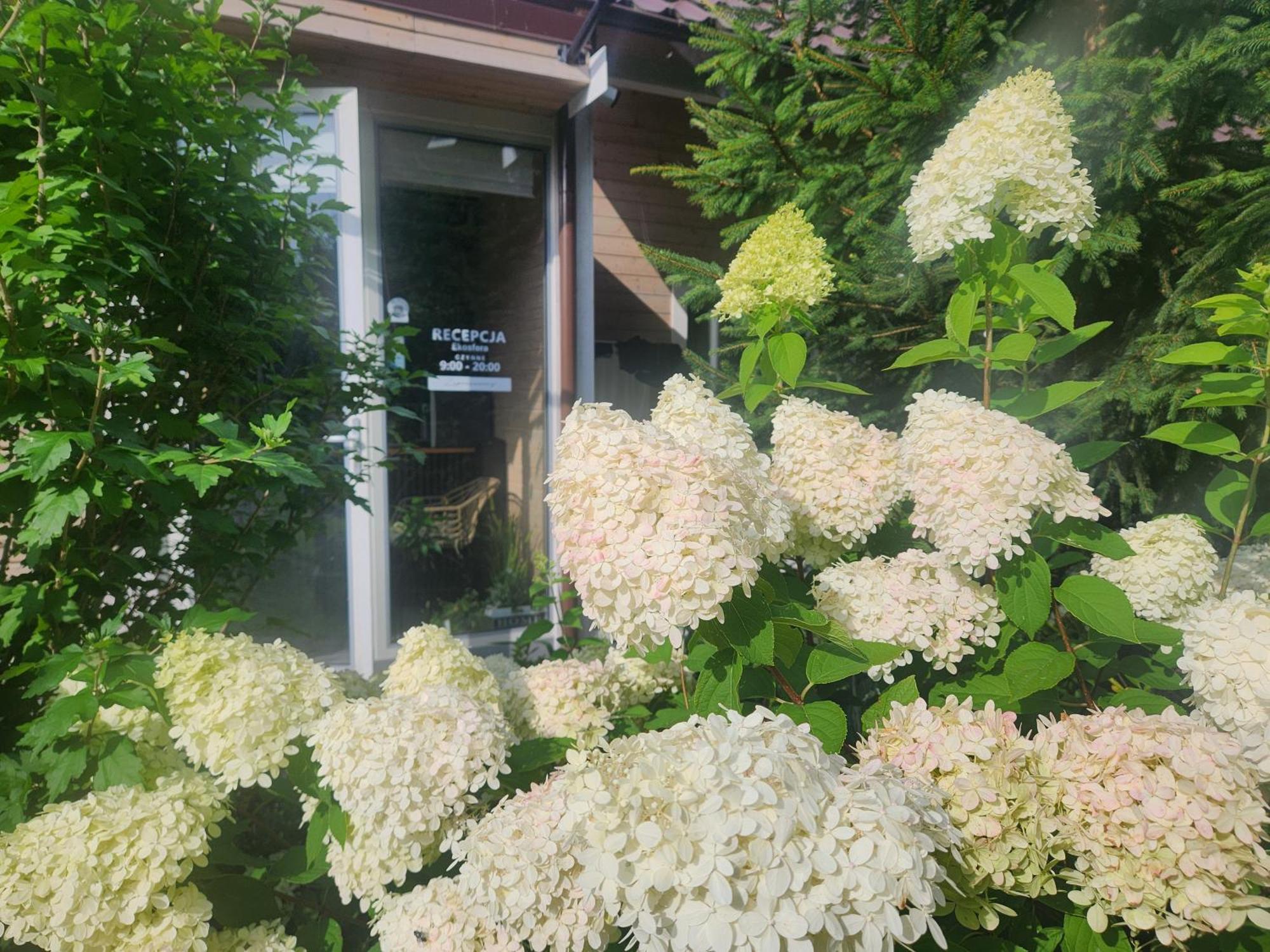 Ferienwohnung Ekosfera Pilawa Borne Sulinowo Exterior foto